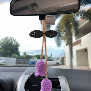 Flower Car Hanger